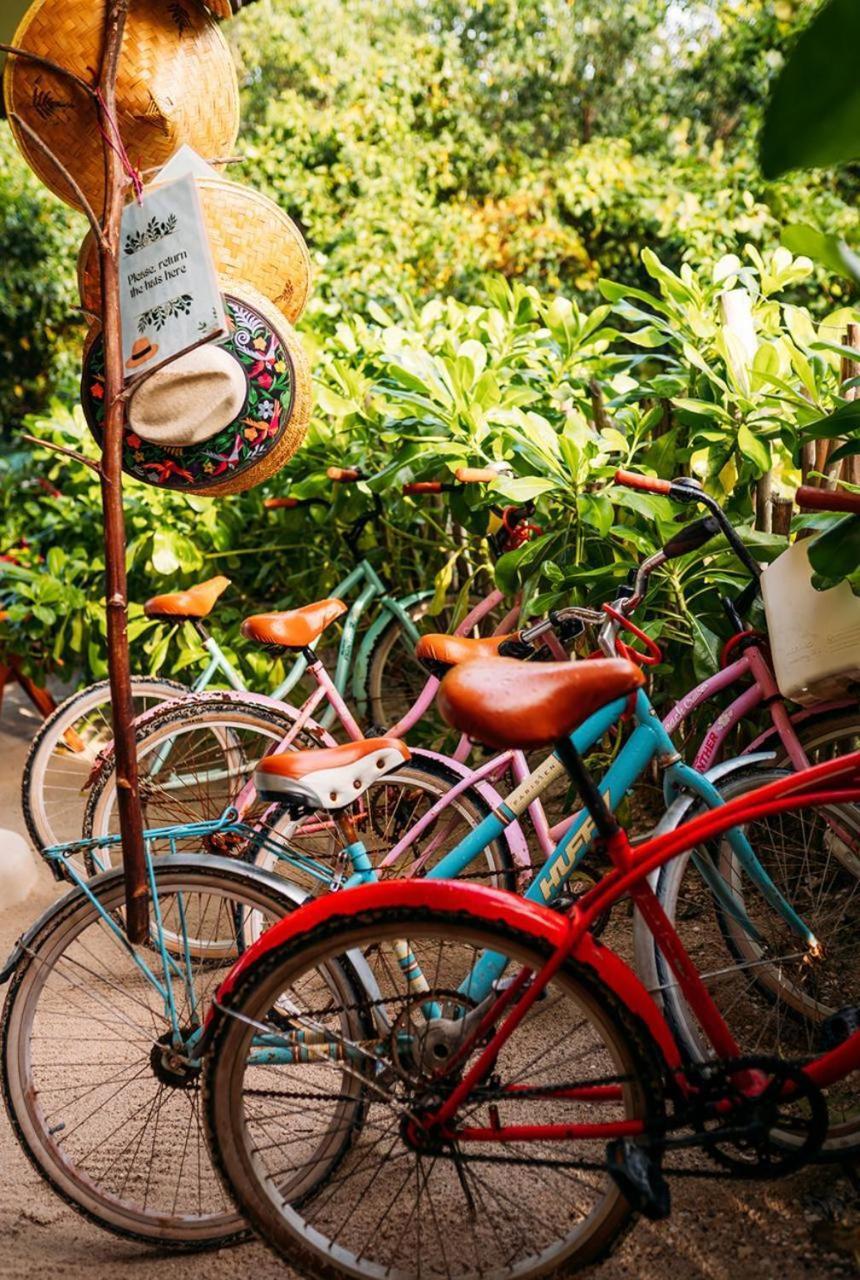 Casa Noma-Noma Holbox Bed & Breakfast Exterior photo